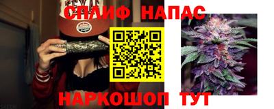 ECSTASY Ливны