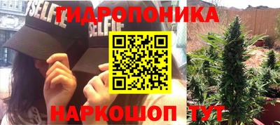 гашик Лесосибирск