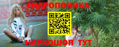гашик Лесосибирск