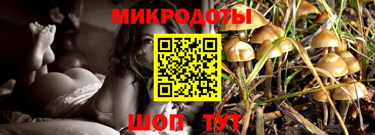 Псилоцибиновые грибы MAGIC MUSHROOMS  Галлюциногенные грибы мицелий  Вход с VPN  Железноводск 