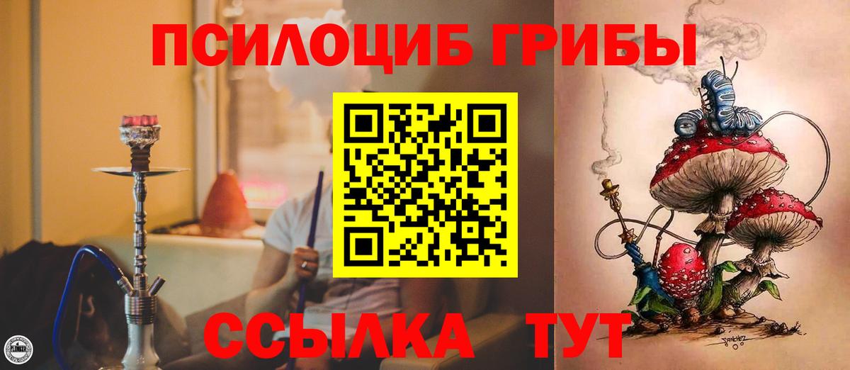 Псилоцибиновые грибы Cubensis Железноводск